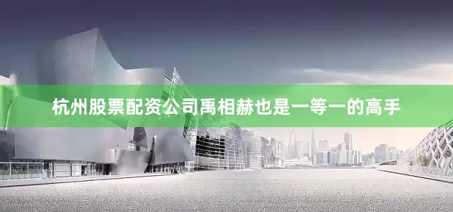 杭州股票配资公司禹相赫也是一等一的高手