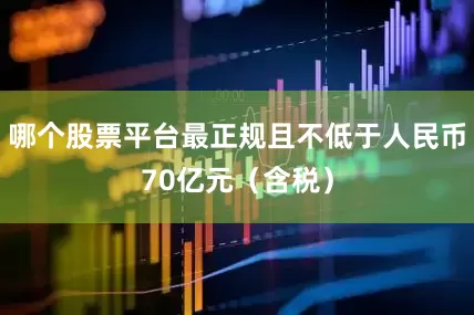 哪个股票平台最正规且不低于人民币70亿元（含税）