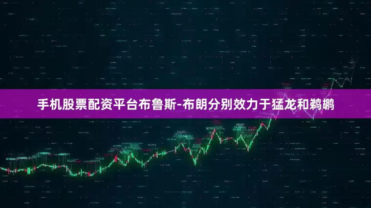 手机股票配资平台布鲁斯-布朗分别效力于猛龙和鹈鹕