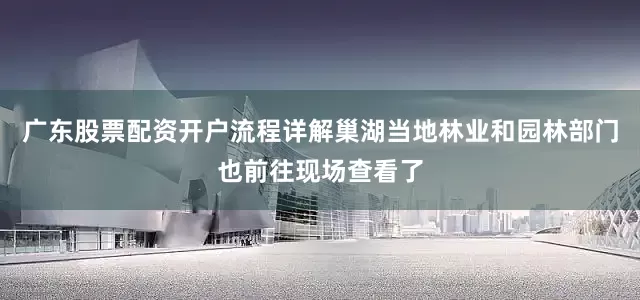 广东股票配资开户流程详解巢湖当地林业和园林部门也前往现场查看了