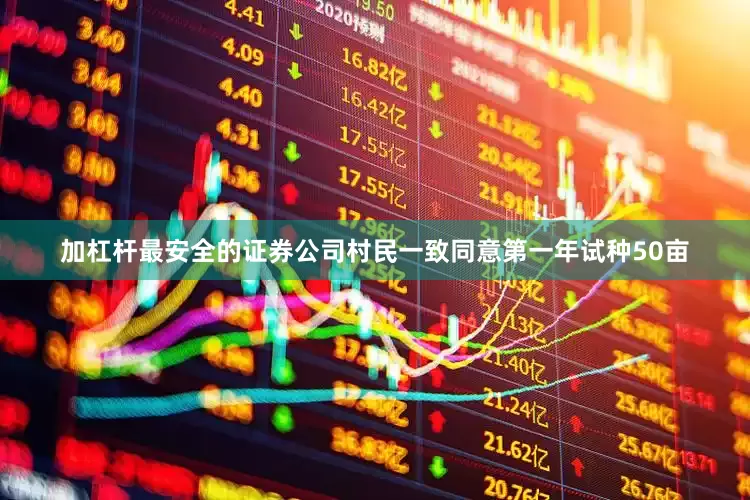 加杠杆最安全的证券公司村民一致同意第一年试种50亩